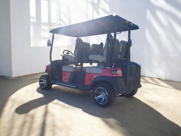 2025 Custom Drive C4 Plus - Lithium - Image 4
