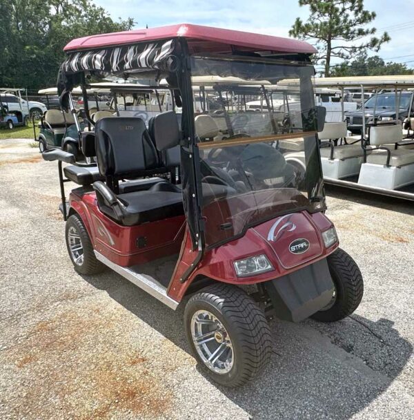 2012 StarEV Classic SS Model w/2-in-1 Combo Seat, Rain Curtains - Image 9