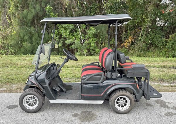 2012 StarEV Classic 48-2 Golf Cart w/2-in-1 Combo Seat - Image 10